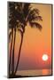 Maui, Hawaii, USA. Palm trees in the sunset.-Stuart Westmorland-Mounted Photographic Print
