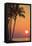 Maui, Hawaii, USA. Palm trees in the sunset.-Stuart Westmorland-Framed Stretched Canvas