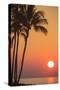 Maui, Hawaii, USA. Palm trees in the sunset.-Stuart Westmorland-Stretched Canvas