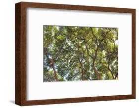 Maui, Hawaii, USA-Stuart Westmorland-Framed Photographic Print