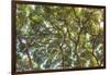 Maui, Hawaii, USA-Stuart Westmorland-Framed Photographic Print