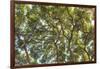 Maui, Hawaii, USA-Stuart Westmorland-Framed Photographic Print