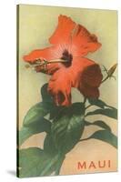 Maui, Hibiscus Blossom-null-Stretched Canvas