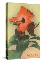 Maui, Hibiscus Blossom-null-Stretched Canvas