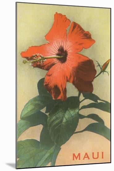 Maui, Hibiscus Blossom-null-Mounted Art Print