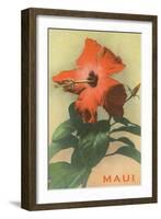 Maui, Hibiscus Blossom-null-Framed Art Print