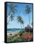 Maui Morning-Scott Westmoreland-Framed Stretched Canvas