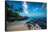 Maui'S Secret Cove Under Stars-null-Stretched Canvas