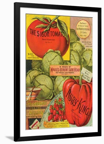 Maule Seed Book Philadelphia-null-Framed Premium Giclee Print