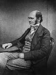 Charles Darwin (Engraving)-Maull & Fox-Stretched Canvas