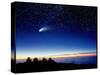 Mauna Kea Observatory & Comet Hale-Bopp-David Nunuk-Stretched Canvas