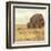 Maupin Farm II-Jarman Fagalde-Framed Art Print