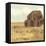 Maupin Farm II-Jarman Fagalde-Framed Stretched Canvas