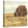 Maupin Farm II-Jarman Fagalde-Stretched Canvas