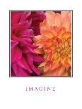 Imagine Flowers-Maureen Love-Photographic Print