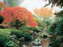 Japanese Garden I-Maureen Love-Photographic Print