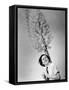 Maureen O'Sullivan-null-Framed Stretched Canvas