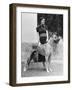 Maureen O'Sullivan-null-Framed Photographic Print