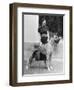 Maureen O'Sullivan-null-Framed Photographic Print