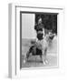 Maureen O'Sullivan-null-Framed Photographic Print