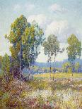 Eucalyptus-Maurice Braun-Art Print