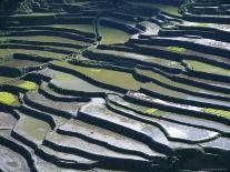 Flooded Rice Terraces, 2000 Years Old, Banaue, Island of Luzon, Philippines, Southeast Asia, Asia-Maurice Joseph-Photographic Print