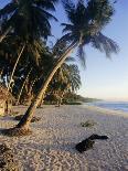 Palm Trees and Beach at Sunset, Western Samoa, South Pacific Islands, Pacific-Maurice Joseph-Photographic Print