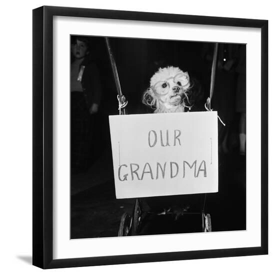 Photographic Print, , large