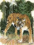 Bali Tiger-Maurice Wilson-Mounted Giclee Print