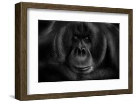 Maurice-Kay-Framed Photographic Print