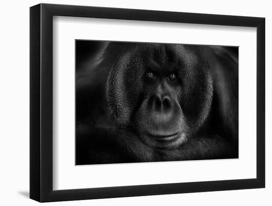 Maurice-Kay-Framed Photographic Print