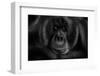 Maurice-Kay-Framed Photographic Print