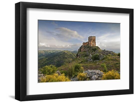 Premium Photographic Print, , large
