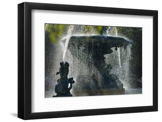 Premium Photographic Print, , large