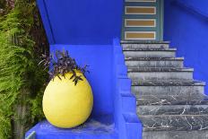 The Blue and Yellow Contrast Found in the Majorelle Garden. Marrakech, Morocco-Mauricio Abreu-Photographic Print