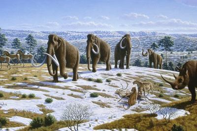 Mammals of the Pleistocene Era