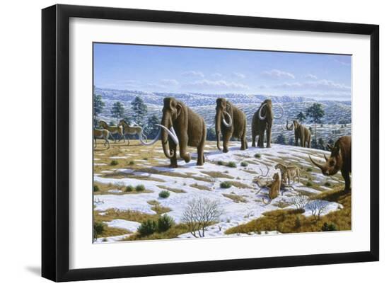 Premium Photographic Print, , large
