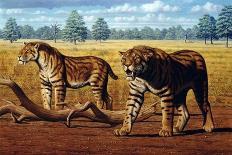 Sabre-toothed Cats, Artwork-Mauricio Anton-Photographic Print