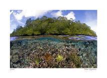 Diver Inspects Reef, Raja Ampat, Papua, Indonesia-Jones-Shimlock-Photographic Print