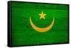 Mauritania Flag Design with Wood Patterning - Flags of the World Series-Philippe Hugonnard-Framed Stretched Canvas