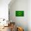 Mauritania Flag Design with Wood Patterning - Flags of the World Series-Philippe Hugonnard-Art Print displayed on a wall