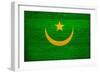 Mauritania Flag Design with Wood Patterning - Flags of the World Series-Philippe Hugonnard-Framed Art Print