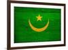 Mauritania Flag Design with Wood Patterning - Flags of the World Series-Philippe Hugonnard-Framed Art Print