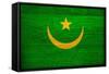 Mauritania Flag Design with Wood Patterning - Flags of the World Series-Philippe Hugonnard-Framed Stretched Canvas