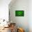 Mauritania Flag Design with Wood Patterning - Flags of the World Series-Philippe Hugonnard-Framed Stretched Canvas displayed on a wall