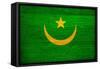 Mauritania Flag Design with Wood Patterning - Flags of the World Series-Philippe Hugonnard-Framed Stretched Canvas