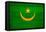 Mauritania Flag Design with Wood Patterning - Flags of the World Series-Philippe Hugonnard-Framed Stretched Canvas