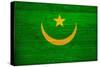 Mauritania Flag Design with Wood Patterning - Flags of the World Series-Philippe Hugonnard-Stretched Canvas