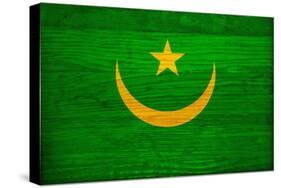 Mauritania Flag Design with Wood Patterning - Flags of the World Series-Philippe Hugonnard-Stretched Canvas