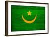 Mauritania Flag Design with Wood Patterning - Flags of the World Series-Philippe Hugonnard-Framed Art Print